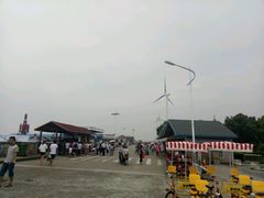 -碧海金沙