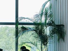 -粤界(望京金辉店)