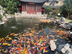 -下海庙