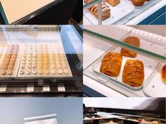 -BLACKSWAN黑天鹅(环球店)