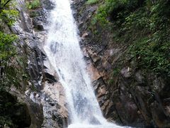 -九龙江国家森林公园