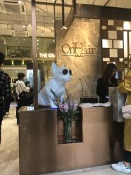 -OnHair Salon