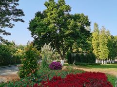 -东莞植物园