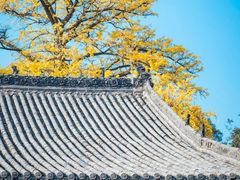-金堂县云顶石城风景区
