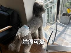 -沏点Trattoria意大利餐厅(新街口店)