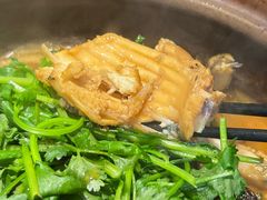 -九道菜有鸡鱼头(石鼓路店)