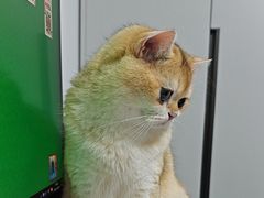-宠颐生中康贝怡动物医院