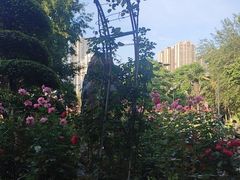 -汉水公园