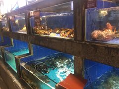 水产区-徐记海鲜(陕西历史博物馆|明德门店)
