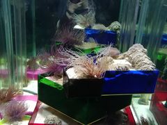 -太平洋海底世界