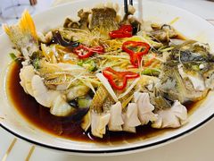 -煲来饱去冷水鱼
