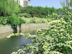 -元大都城垣遗址公园