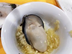 肥美的生蚝-蚝专家(北滘店)