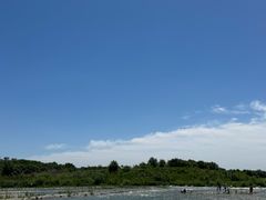-绿堤公园