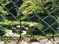 -吉隆坡雀鸟公园