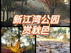 -新江湾城公园