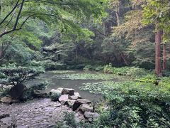 -宋宴(虎跑店)