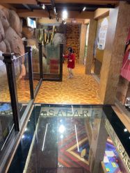 -卡通尼·Safari非洲探索乐园·生日会(金桥国际商业广场店)