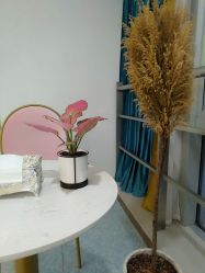 -痘院长·祛痘·皮肤管理