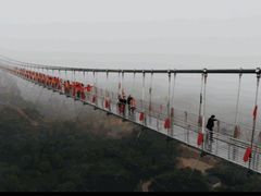 -客天下恐龙水晶玻璃桥