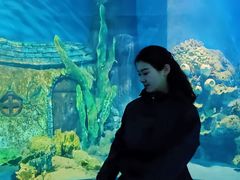 -太奥幻太奇海洋馆
