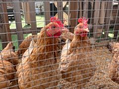 -HERRE·FARM 赫尔露营农场·团建聚会包场