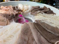 -新哥老官·畅吃123·美蛙世界(苏宁广场店)