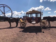 -塞罕坝国家级自然保护区