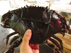 -海盗餐厅