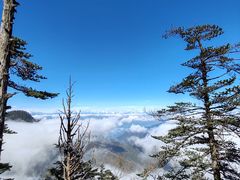 -瓦屋山景区