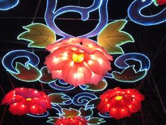 -金城公园