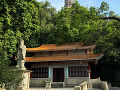 -顺峰山公园