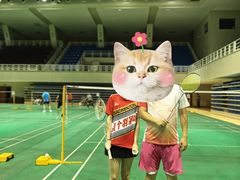 -对外经贸大学羽毛球馆