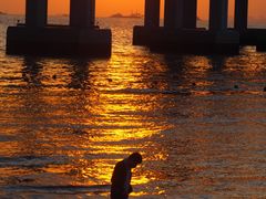 -宝安西湾红树林湿地公园