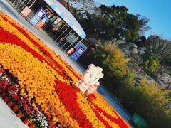 -东山风动石景区
