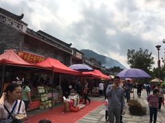 -悦城龙母祖庙