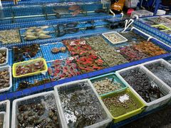 -霞涌市场海鲜摆卖区