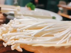 金针菇-春润大地海南椰子鸡(沙井京基百纳广场店)
