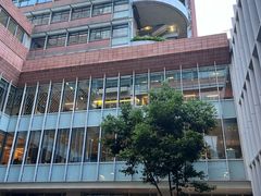 -九龙公园
