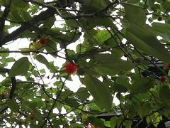 -虞山城墙