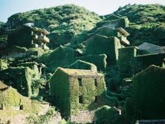 -枸杞岛
