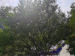 -汉堡王(北京三里屯购物中心)