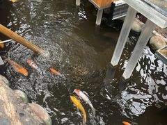 -上海大自然野生昆虫馆(东方明珠·爬宠昆虫探索中心)