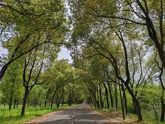-柯岩风景区