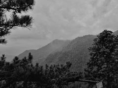 -东天目山风景区