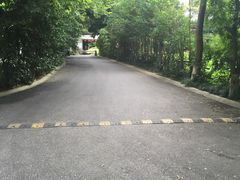 -西湖风景区十里琅珰-五云山