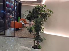 -小仙女采耳·按摩·SPA(深圳旗舰店)