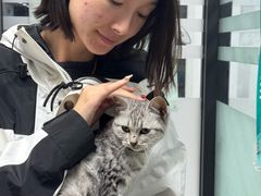 -瑞派雷欧宠物医院·24h夜诊·心脏骨科牙科·全科重症转诊中心(无影山店)