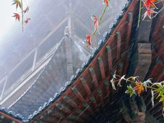 -杭州半山国家森林公园