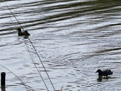 -东钱湖旅游度假区